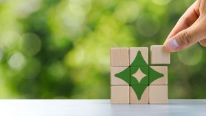 Sustainability star